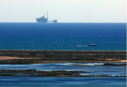 Proyecto castor9 24 original