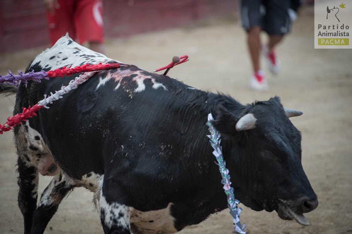 repugnante1 53 original