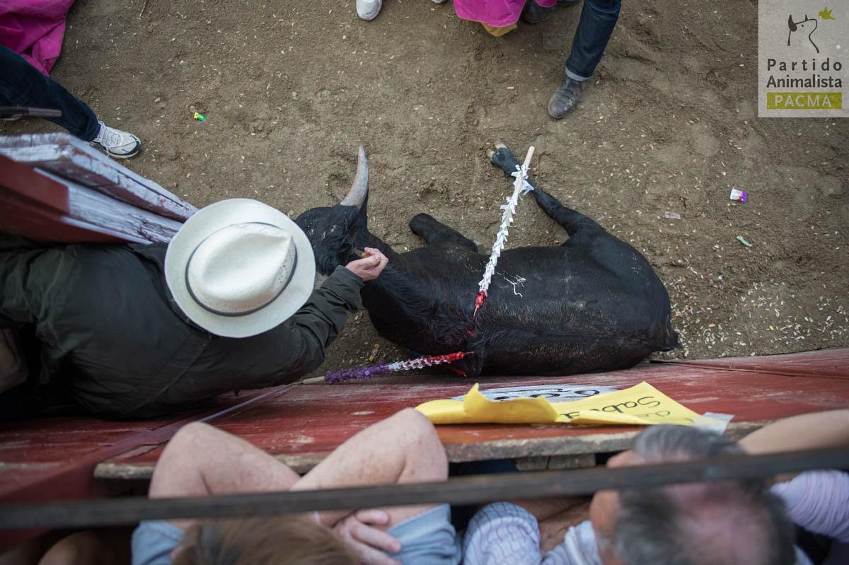 repugnante2 48 original