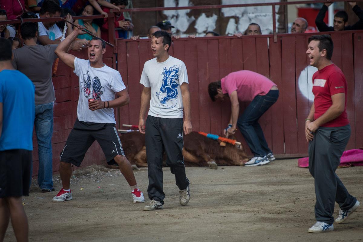 repugnante3 65 original