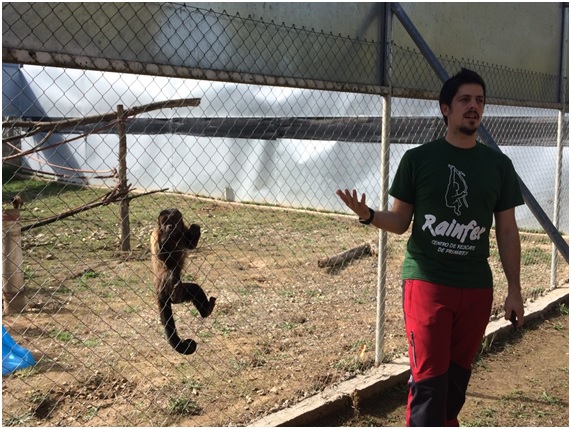 Rainfer el santuario de primates de Madrid al borde de la ruina 5 MONOS15 63 original