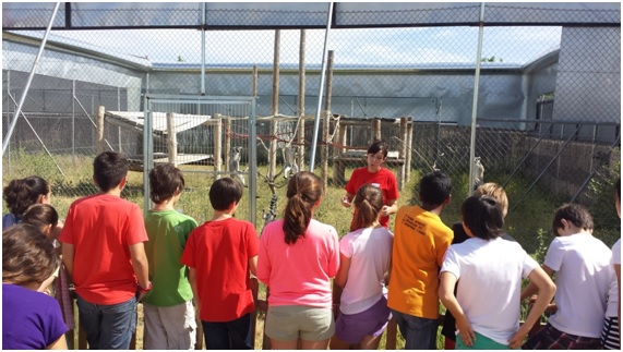 Las tristes historias de los animales de Rainfer 9 RAIN19 12 original