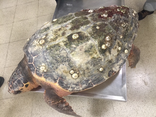 IMG 36482 90 original