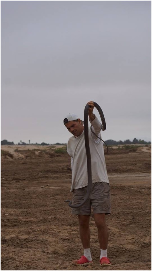 TURISTA23 52 original