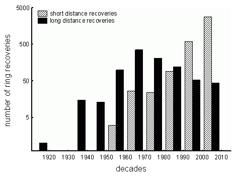 Los petirrojos europeos no volverán a España 2 graficodasd 70 original