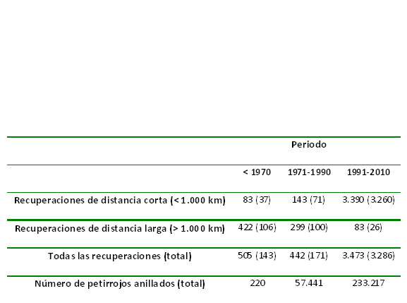 Los petirrojos europeos no volverán a España 1 graficoss 32 original