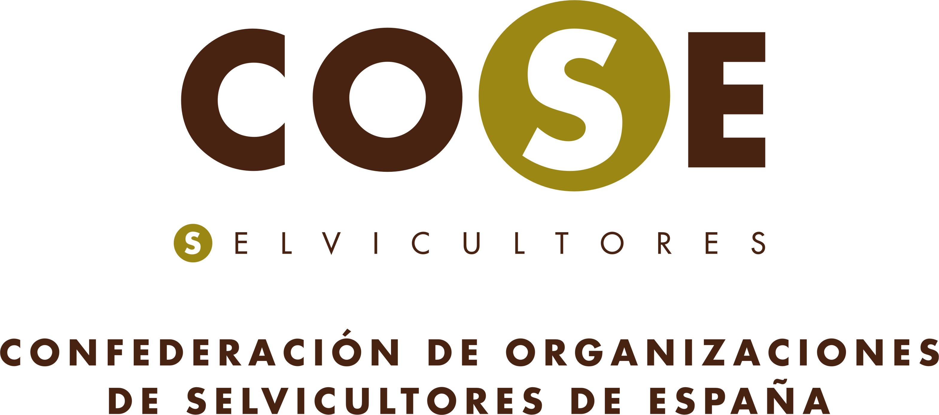 logoCOSE 96 original