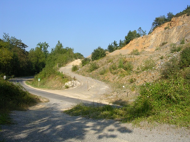 CanteraPeridiella1 58 original