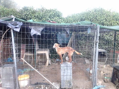 DSC 0323 58 original