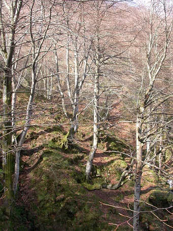 El PSOE asturiano se carga las Ubiñas para abrir minas 1 ParqueUbi 68 original