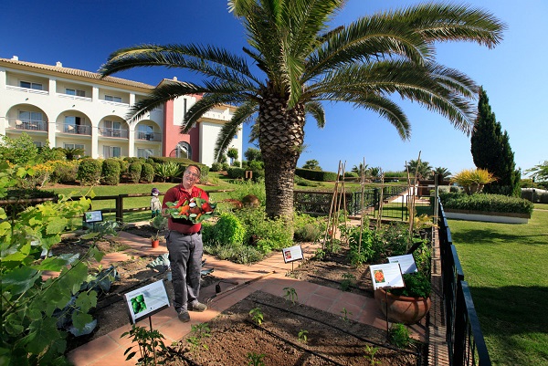 CostaLuz 78 original