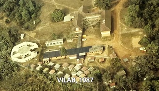 Abandono de 60 chimpancés utilizados en experimentación biomédica en una isla de Liberia 2 2 26 original