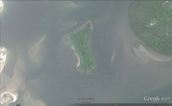 Abandono de 60 chimpancés utilizados en experimentación biomédica en una isla de Liberia 4 4 51 original