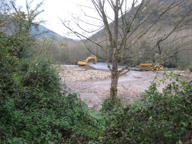 DragadosNarcea1 38 original