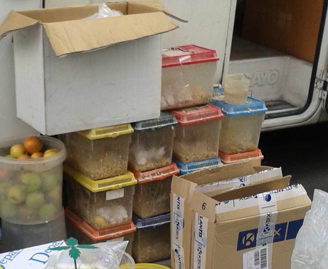 fsdfsdfd 65 original