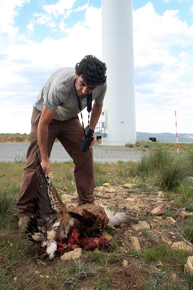 IMG 8709 22 original