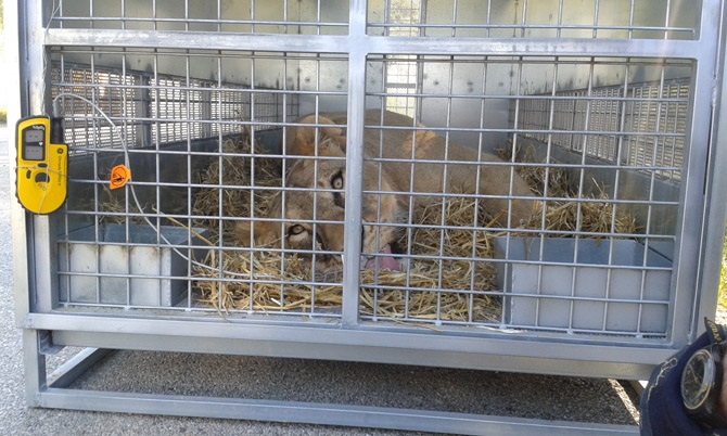 hedfgjghjghjghsa 25 original