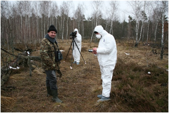 Vida salvaje en Chernóbil 3 vida13 16 original