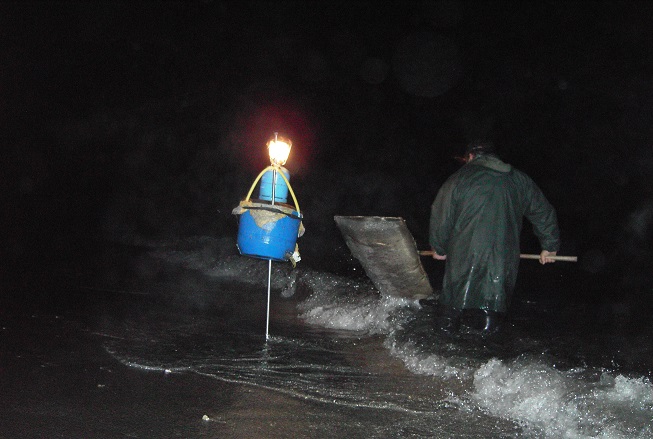 Pescaangulaoche 61 original