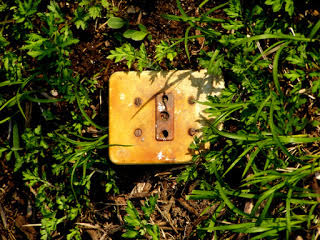 enchufesassf 49 original