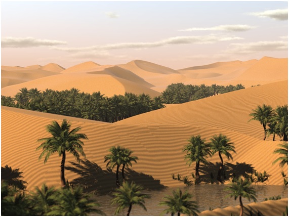 PICUDO12 60 original