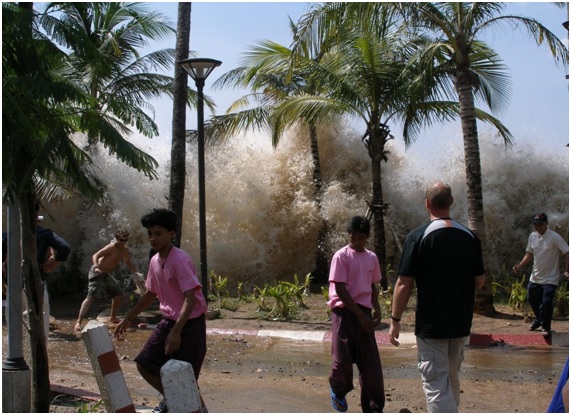 tsunami12 81 original