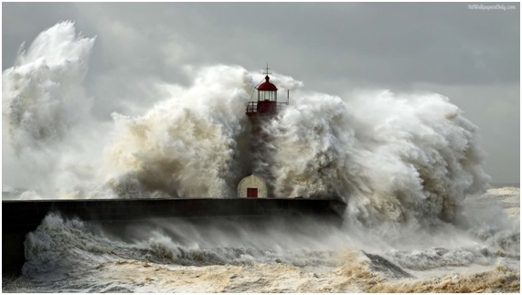 tsunami21 58 original