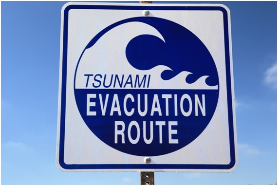 tsunami24 72 original