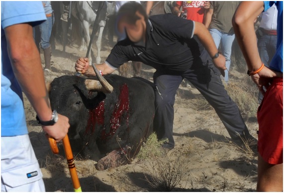 podemos17 4 original