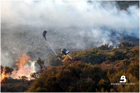 Incendios forestales en invierno: previsión cero + codicia desmedida 1 invernal11 34 original