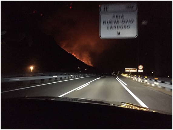 Incendios forestales en invierno: previsión cero + codicia desmedida 4 invernal14 63 original