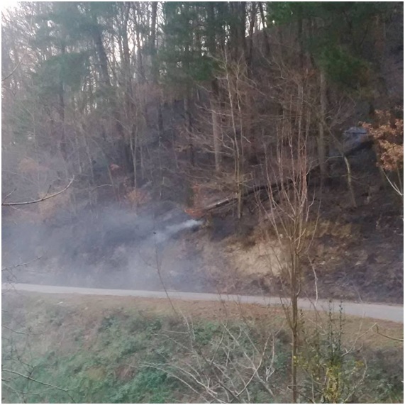 Incendios forestales en invierno: previsión cero + codicia desmedida 6 invernal16 16 original