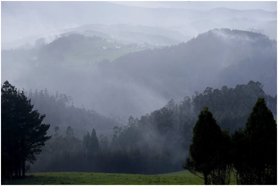 Incendios forestales en invierno: previsión cero + codicia desmedida 7 invernal17 62 original