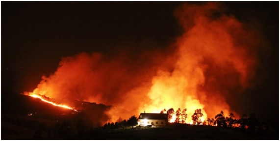 Incendios forestales en invierno: previsión cero + codicia desmedida 8 invernal18 83 original