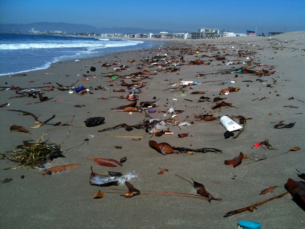 ¿Cuáles serían los deseos del Medio Ambiente para 2024?