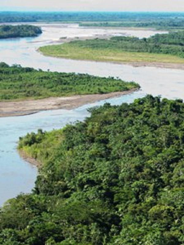 Balance ambiental de 2018