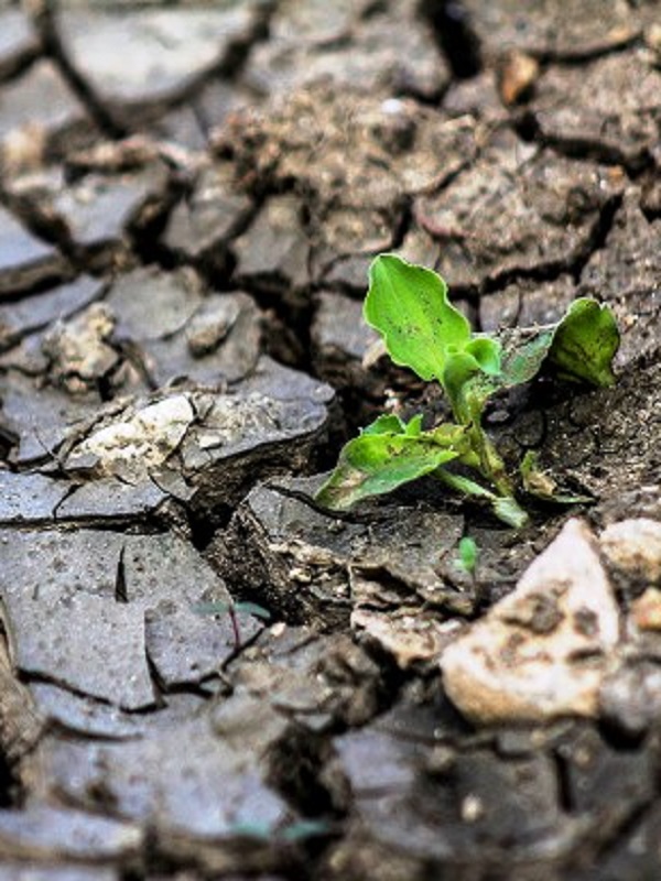 El Cambio Climático ya está pasando factura al Planeta