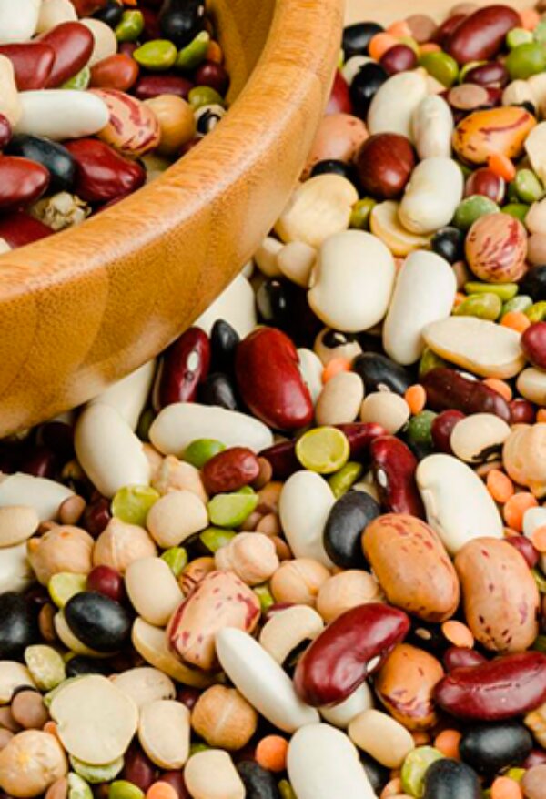 La lenteja de agua, tecnología de cultivo para transformar los excrementos en materia rica en proteínas