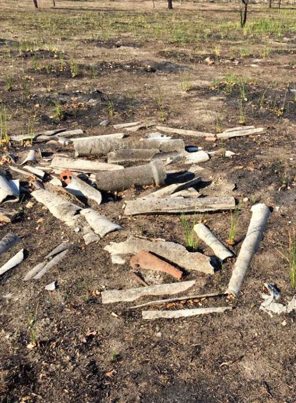 San Fernando - Coslada. Exigen la retirada de residuos del Bosque del Humedal de Coslada