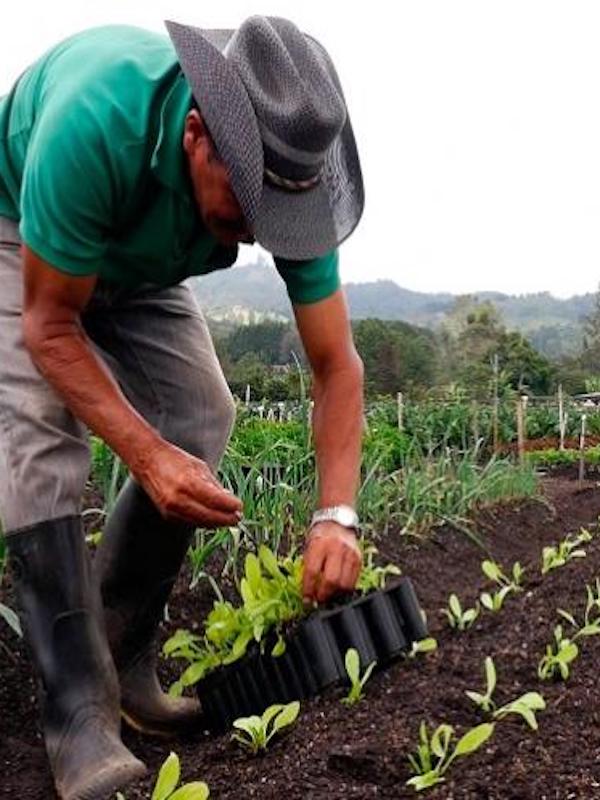 Elaboran un plan para incentivar la agroecolog&iacute;a en M&eacute;xico