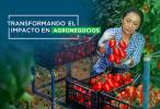 Claves para el sector agrícola durante COVID-19 en América Latina y el Caribe