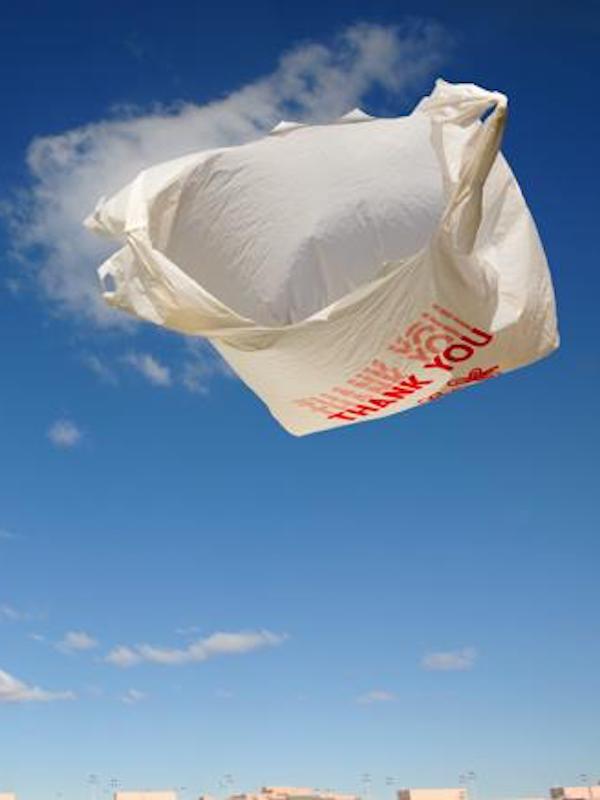 Día Internacional Libre de Bolsas de Plástico 2020
