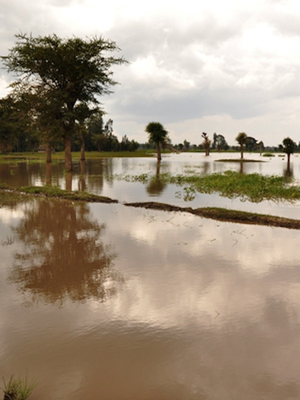 La nueva Europa de las inundaciones