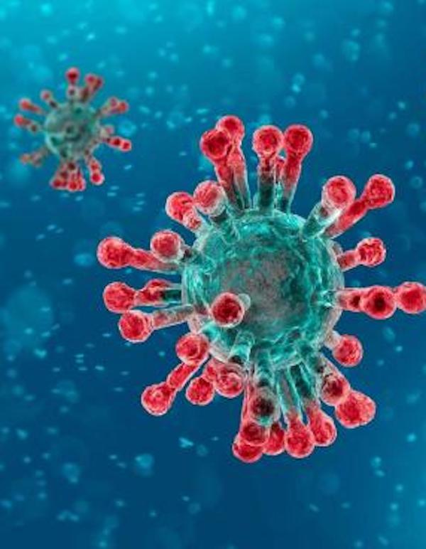 Propuestas ambientales para frenar el coronavirus