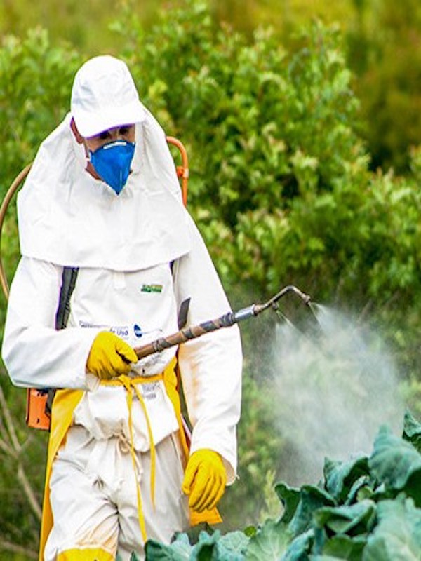 Casi 150 pesticidas podrían estar en nuestra alimentación