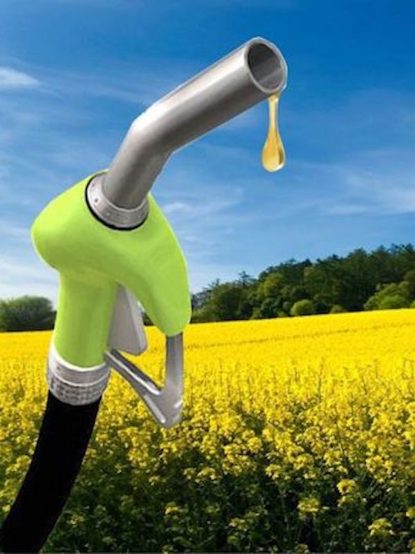 Biodiesel muy económico a base de restos de comida y basura