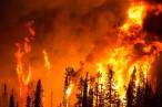 ¿Qué pasa para evitar los grandes incendios?