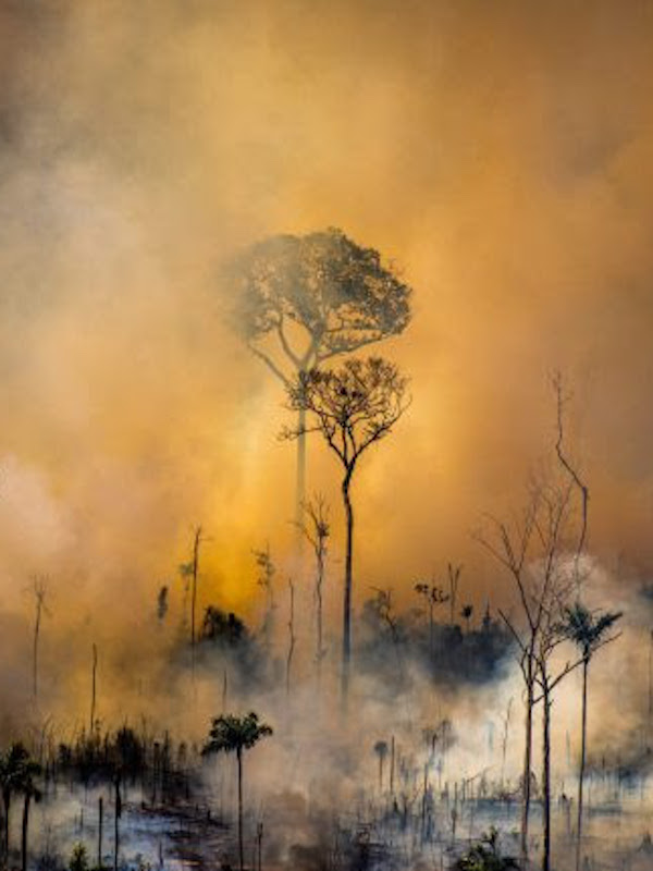 Simulan un ‘incendio’ ante la Embajada de Brasil para pedir mayor protección a la Amazonía