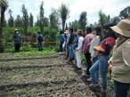 México impulsa la primera escuela agroecológica chinampera