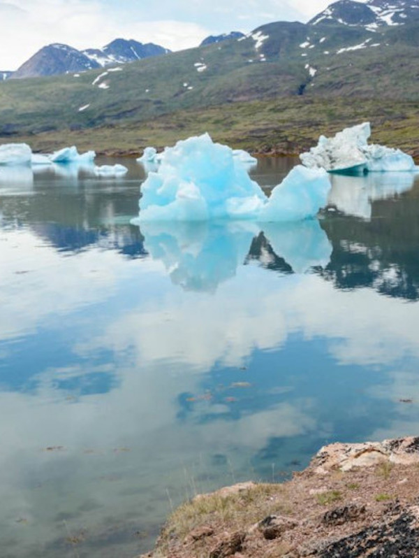 El Ártico ya no es solo blanco, ahora cada vez es más verde